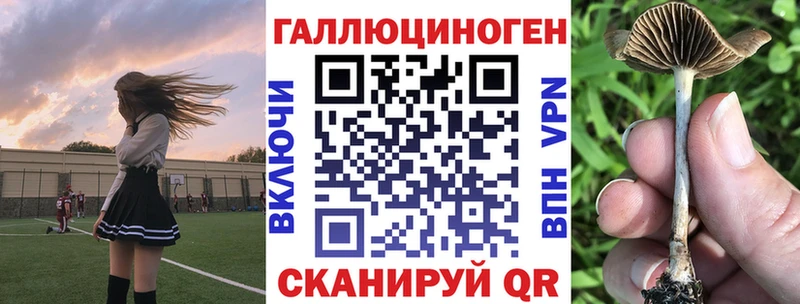 Купить закладки  Кострома  Псилоцибиновые грибы мухоморы 